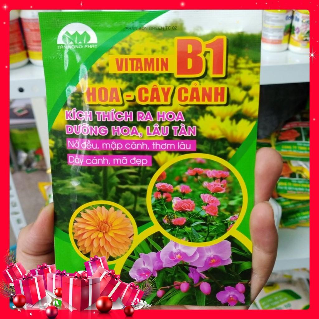 Phân Bón Vitamin B1 Cho Lan, Hoa Và Cây Cảnh