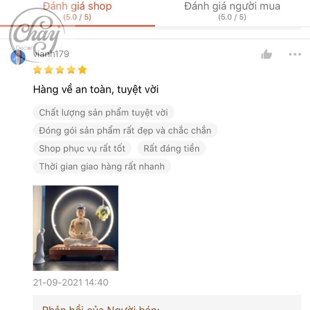 Thác Khói Trầm Hương Phật A Di Đà Trang Trí Phòng Khách , Phòng Thờ