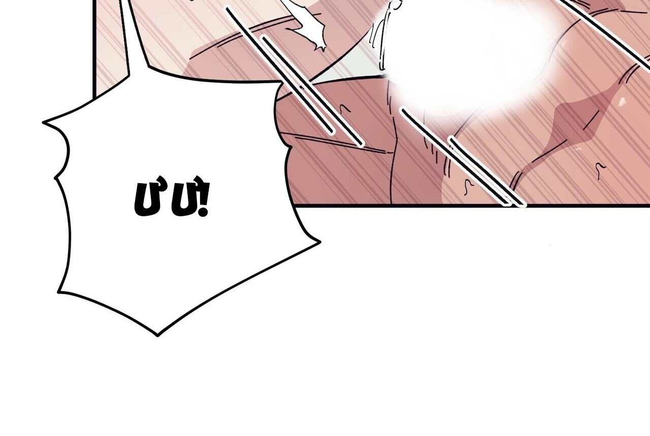 chàng dâu nhà họ kang chapter 46 29