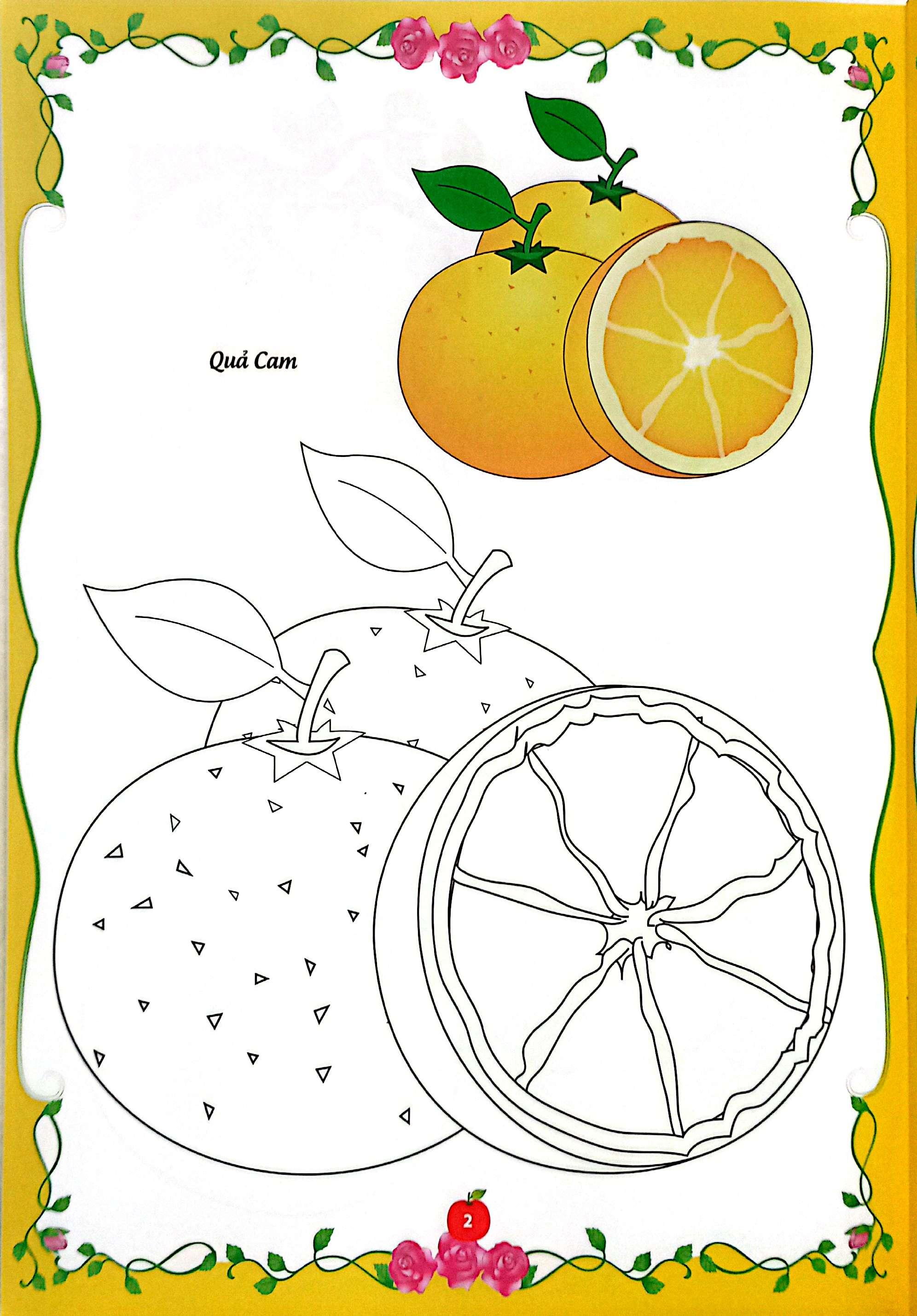 Sách - Bé Tập Tô Màu - Củ, Quả