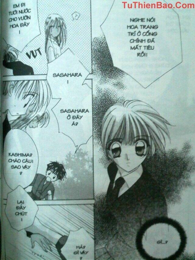 nguyện ước dưới ánh sao chapter 3 102