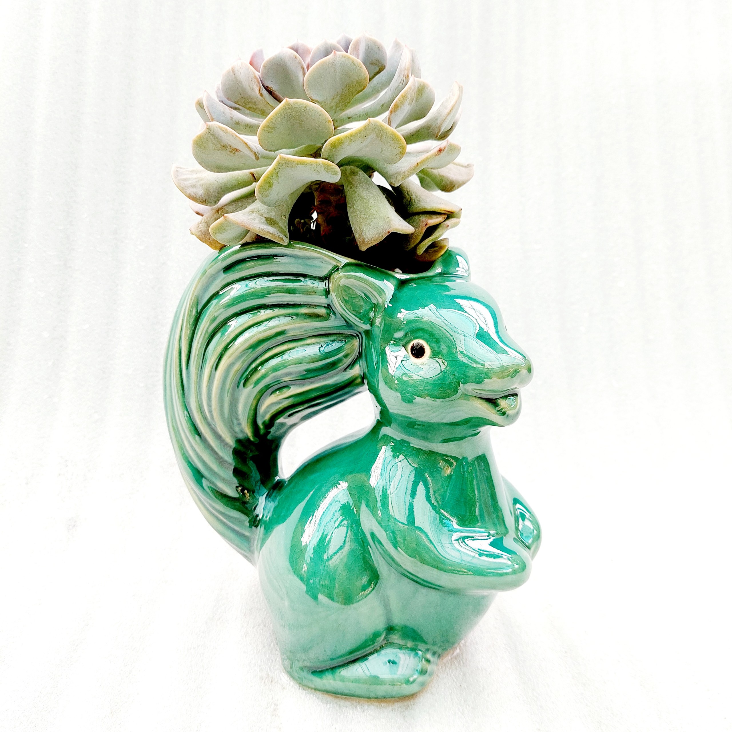 Chậu men - Sóc tinh nghịch, miệng chậu , chiều cao 20cm