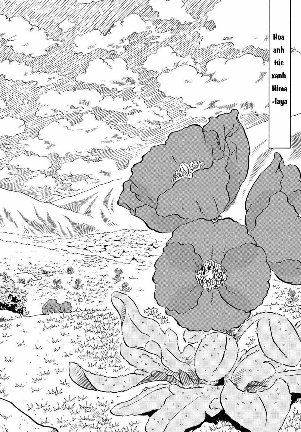 blissful land chapter 11 15