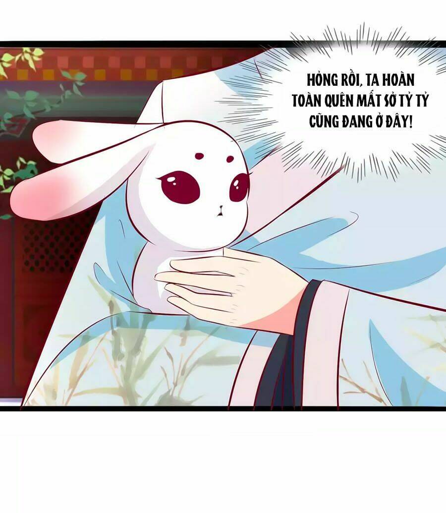 thỏ yêu tiểu vương phi chapter 78 4