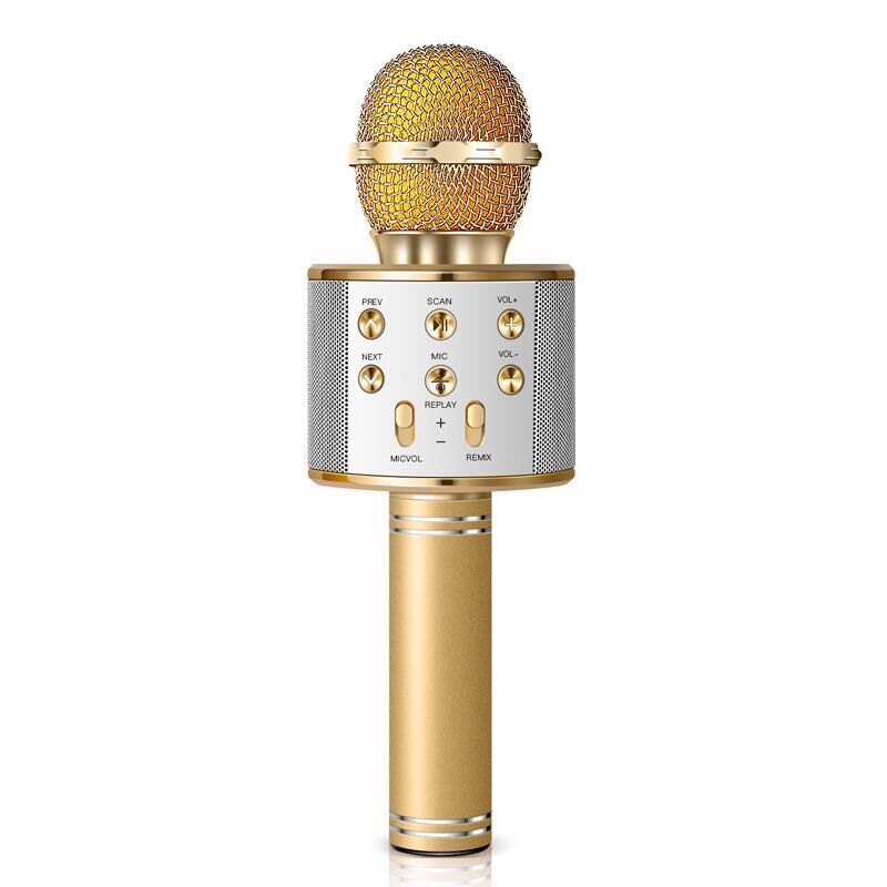 MICRO KÈM LOA BLUETOOTH WS-858 CÓ CỔNG OUT JACK 3.5 RA AMPLY, LOA LỚN
