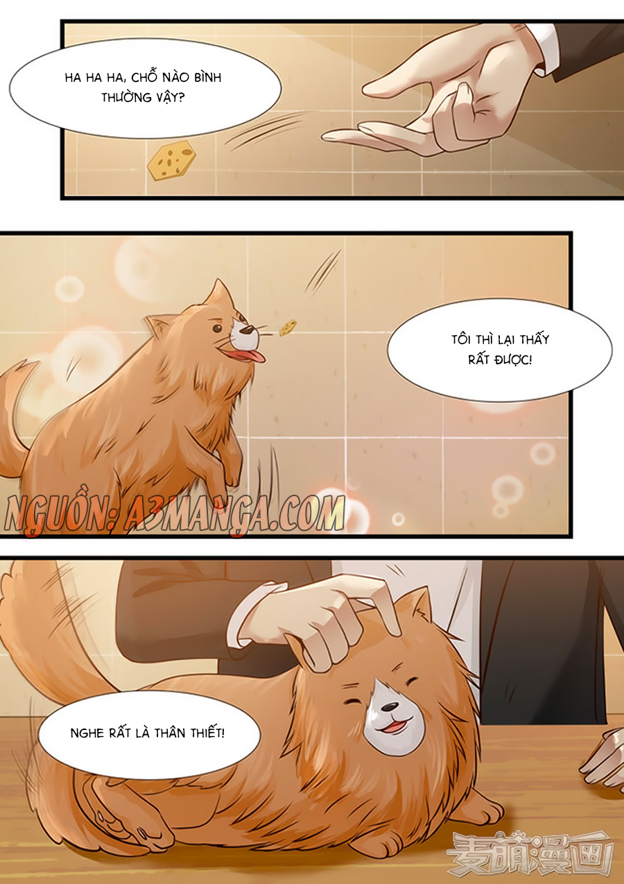 rơi vào tình yêu với bá đạo tổng tài chapter 29 8