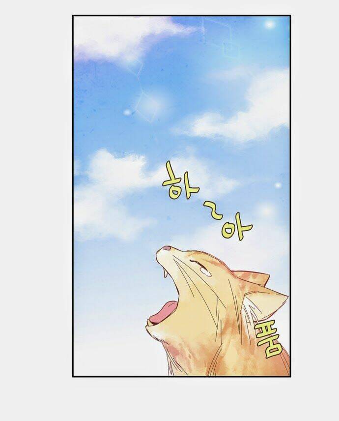 evergreen tea chapter 8 13