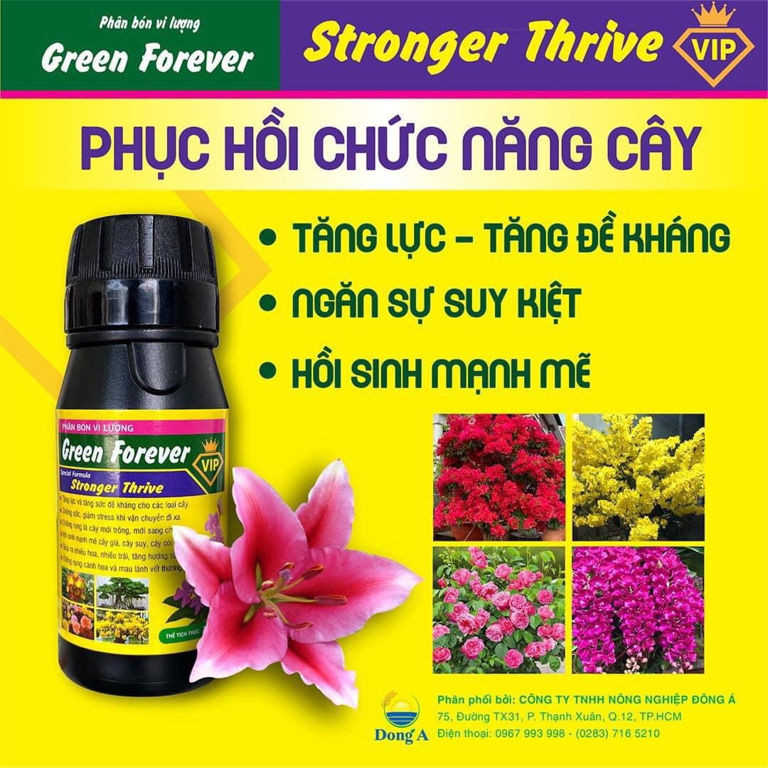 Phân bón vi lượng Green Forever lọ 100ml