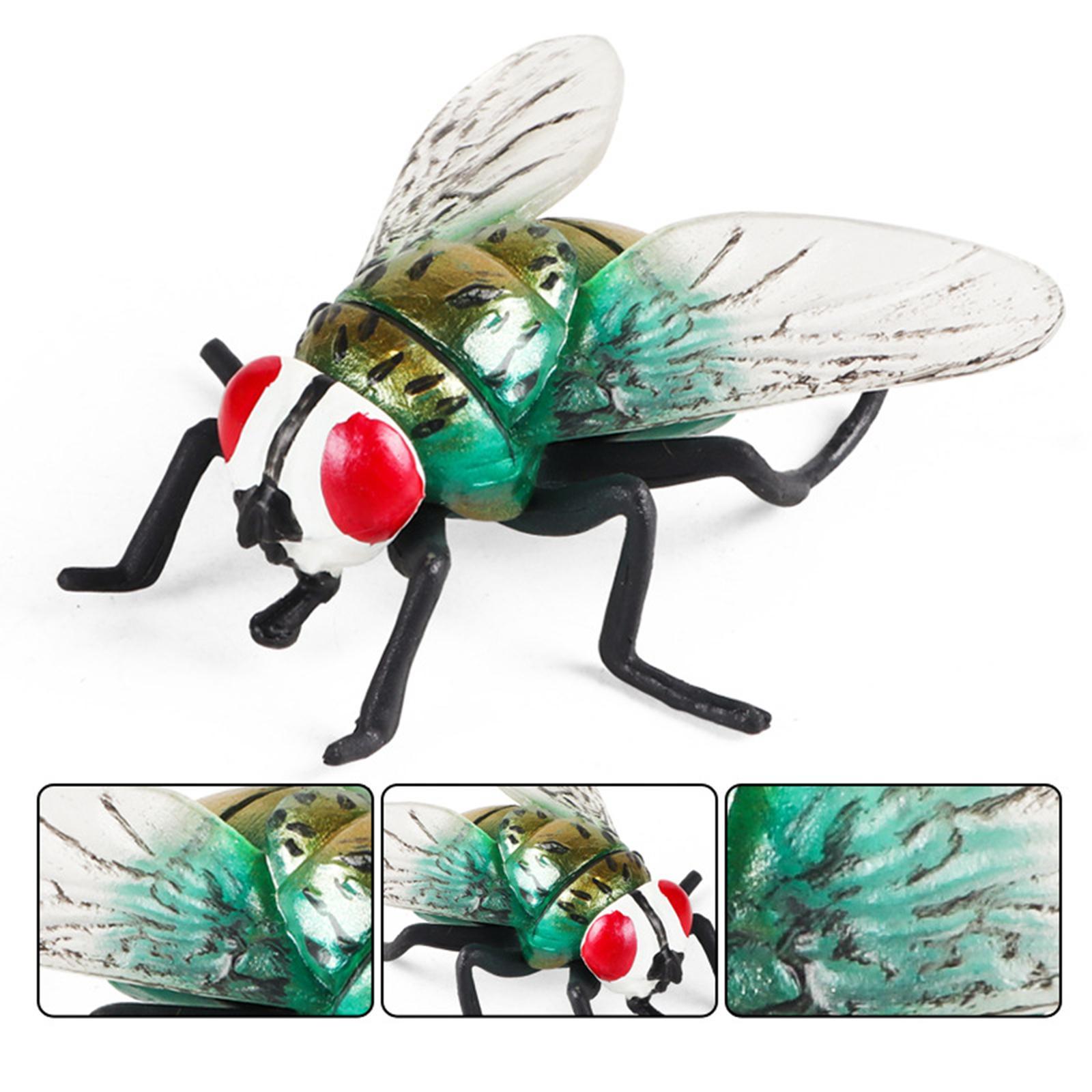 Realistic Fly Toys Educational Learning Toy Party Supplies for Boy Toddlers