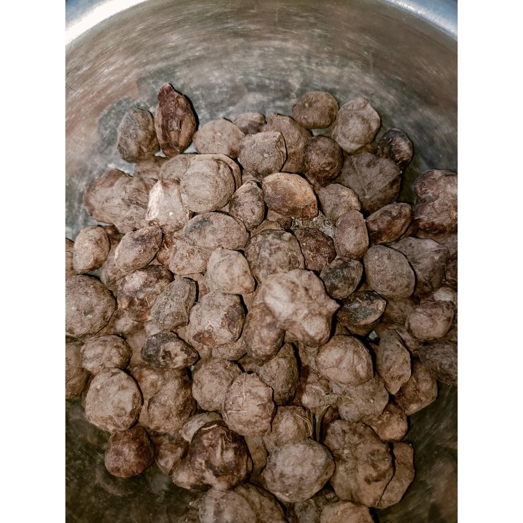 1 kg hạt sấu giống