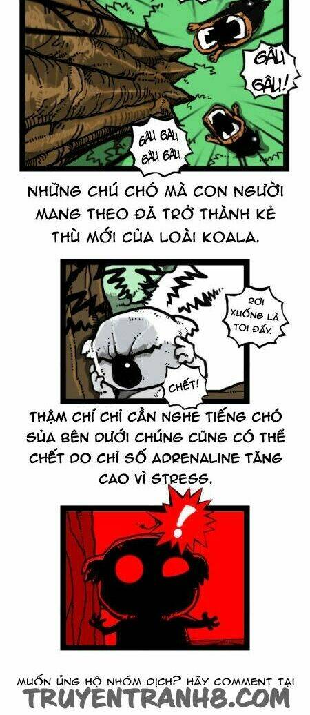 earth, human, and animal chapter 25 15