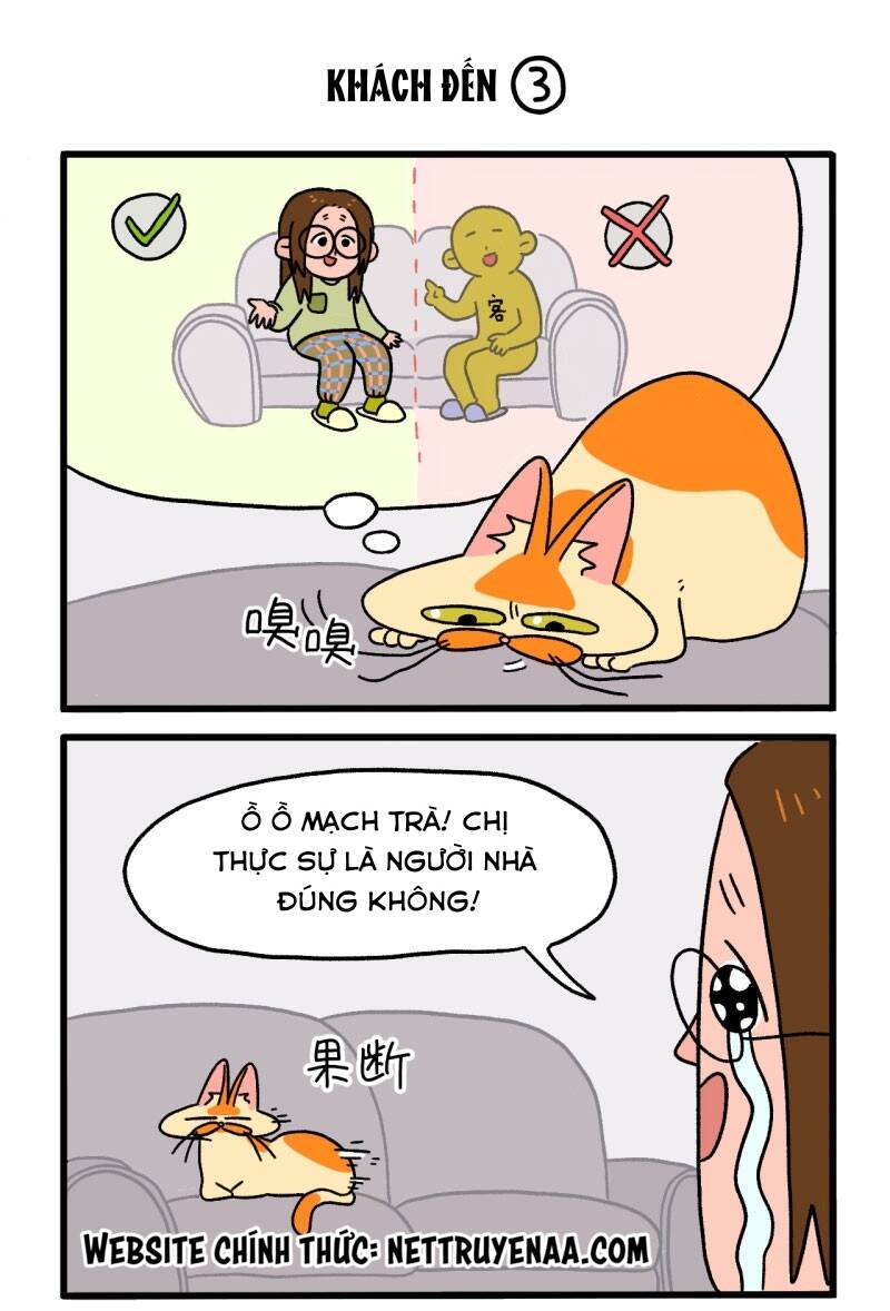 a mãn và mạch trà chapter 3 5