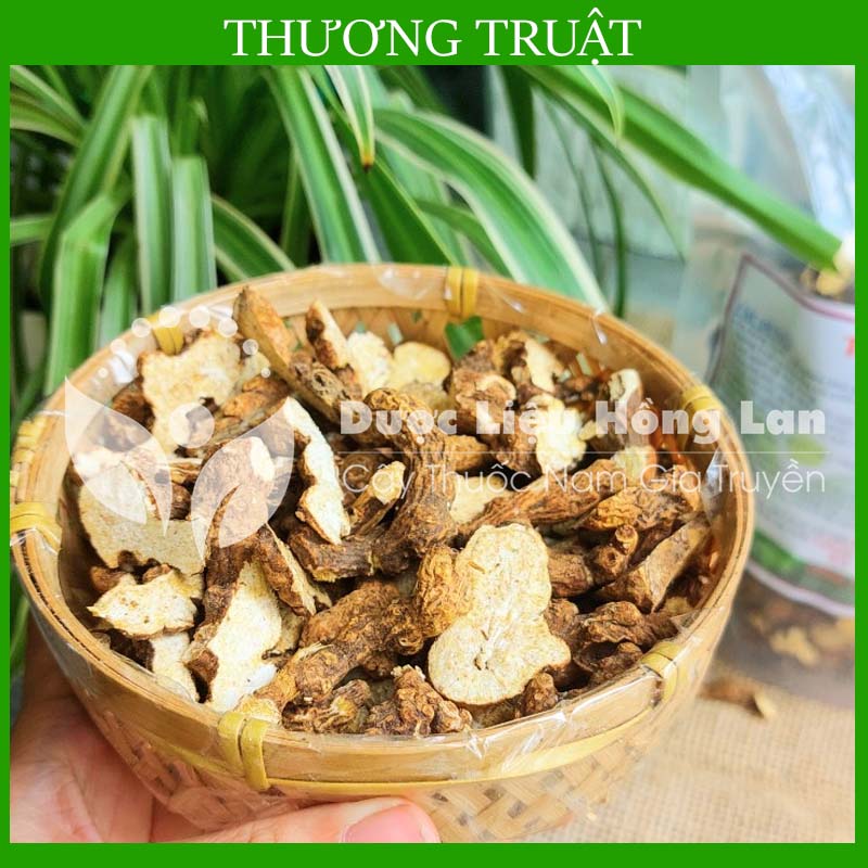 [THƯỢNG HẠNG] 100g Thương Truật khô đẹp loại 1