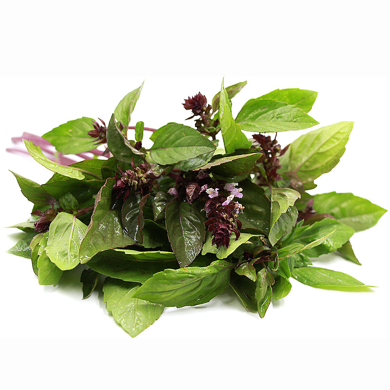 Hạt giống Húng Quế 25