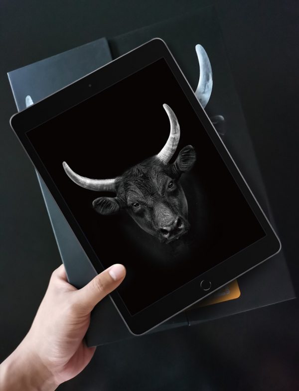 Miếng dán cường lực MIPOW KINGBULL PREMIUM HD (2.7D) cho Ipad 10.2 _ Hàng Chính Hãng