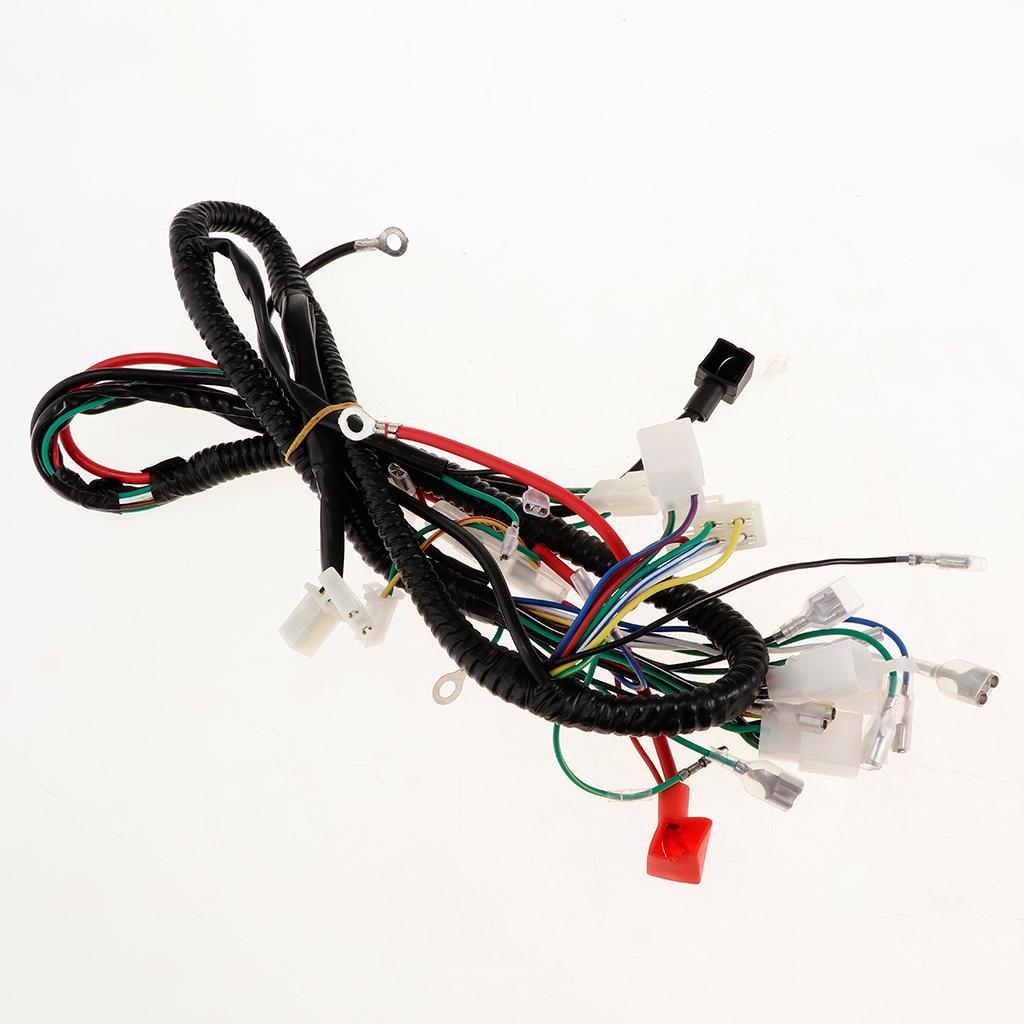 Complete Electrics Stator  CDI Wiring Harness for 150cc 250cc Dirt Bike
