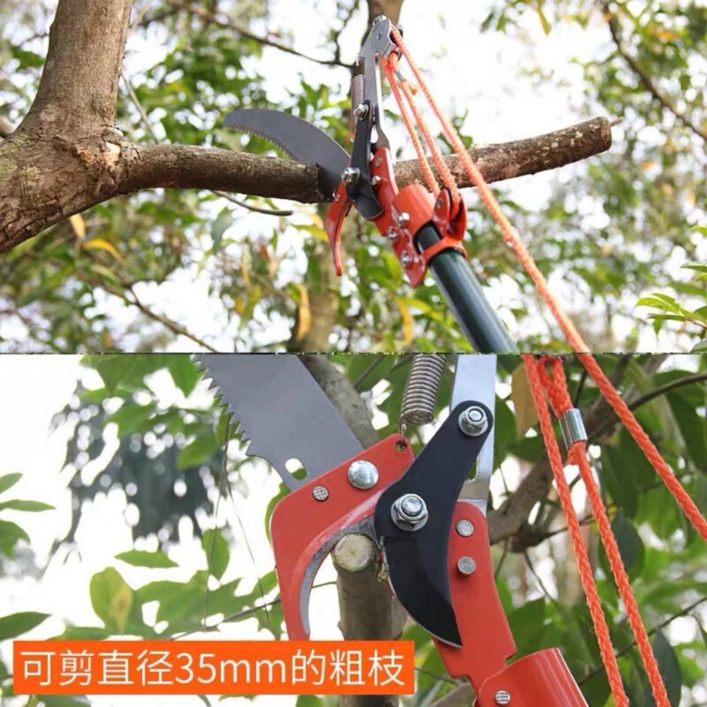 Đầu kéo tỉa cành , cắt cành và hái quả trên cao kết hợp cưa