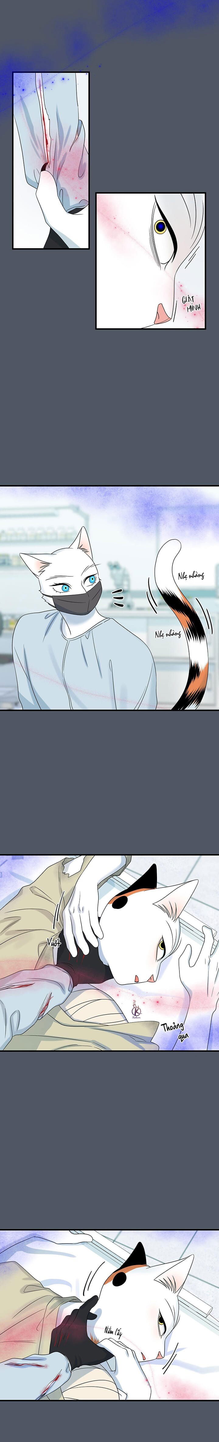 dự án xanh chapter 45 6