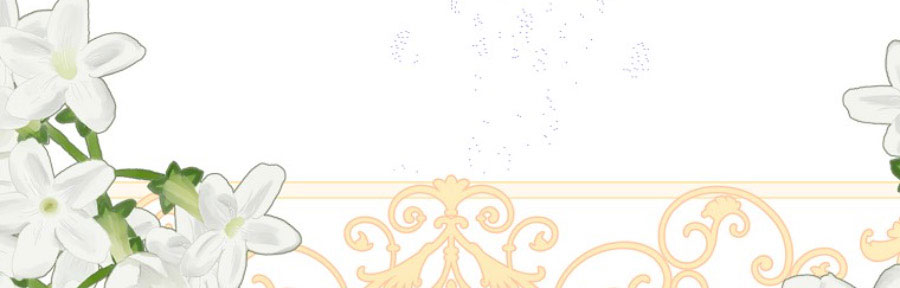 tôi sẽ cố gắng bảo vệ em gái chapter 30.1 317