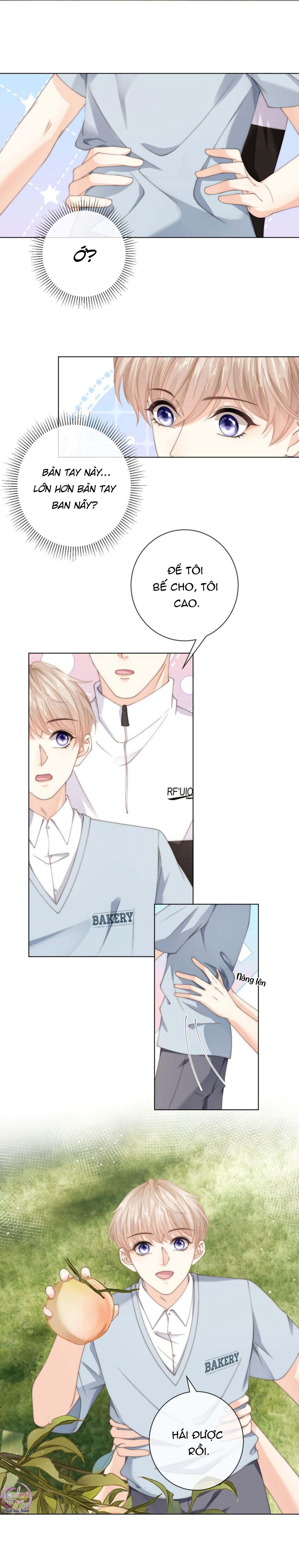 đảo thanh mai chapter 49 3