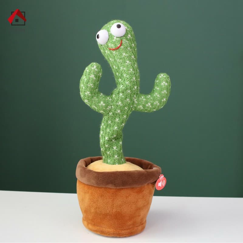CÂY XƯƠNG RỒNG HÁT, NHÚN NHẨY VÀ THU ÂM GIỌNG NÓI