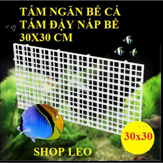 TẤM NGĂN BỂ CÁ 30x30cm - TẤM ĐẬY NẮP BỂ