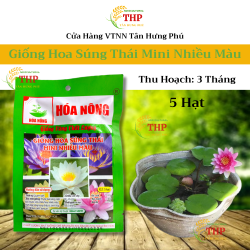 Hạt giống Hoa Súng Thái Mini Nhiều Màu | Hạt Giống | gói 5 hạt