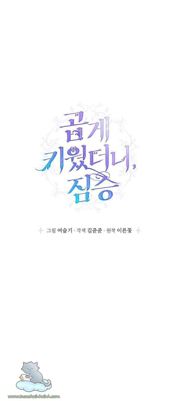 tôi đang nuôi dưỡng một con quái thú chapter 71 1