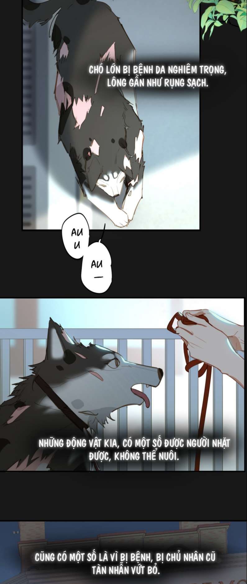 tôi bị điên đó chapter 2 8