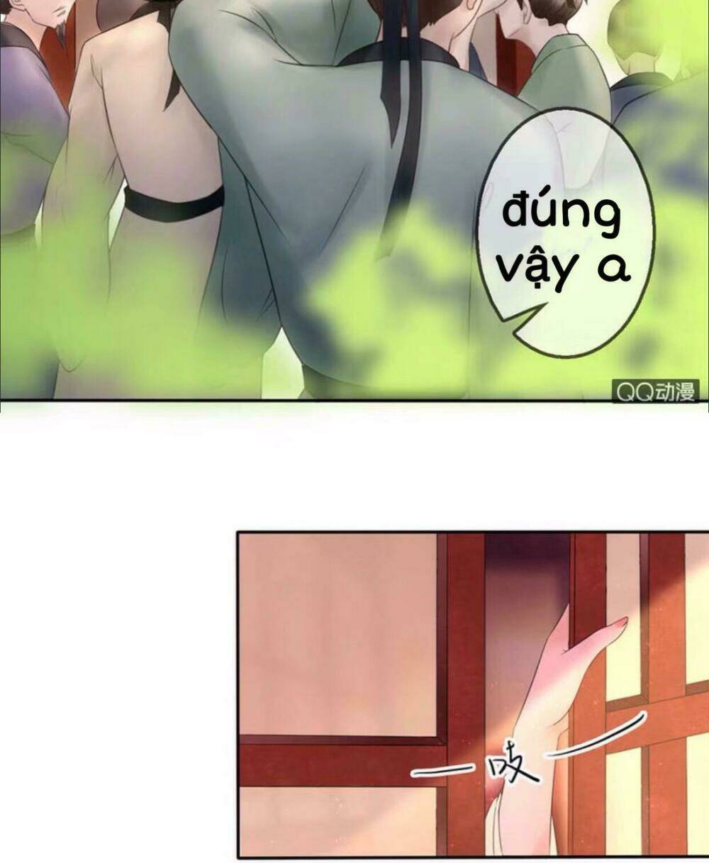 sủng phi của vương chapter 24 10