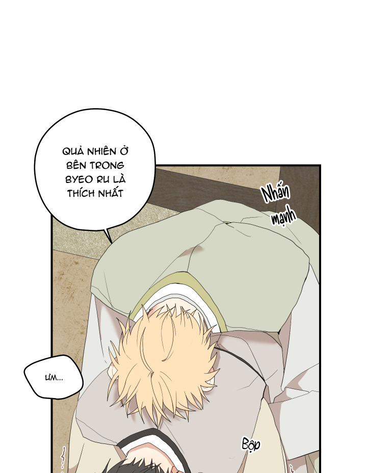 đường hoa liên kiều rơi chapter 21 41