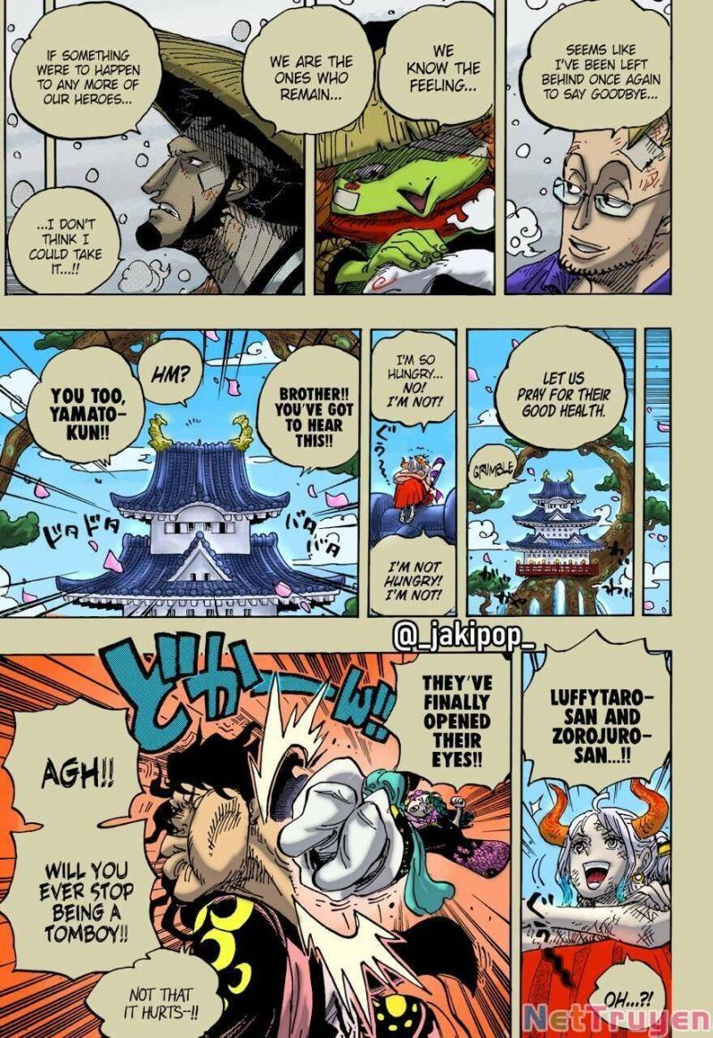 đảo hải tặc - one piece chapter 1052 17