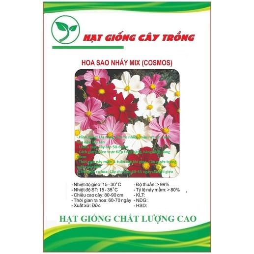Hạt giống hoa cúc sao nhái mix màu CT38 - Gói 50 hạt