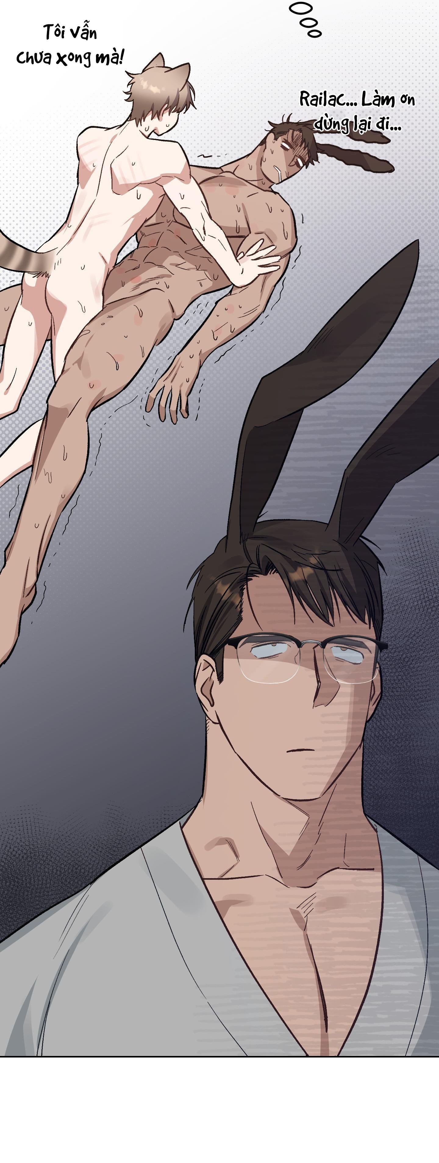 thỏ xuất tinh trong 3 giây chapter 11 49