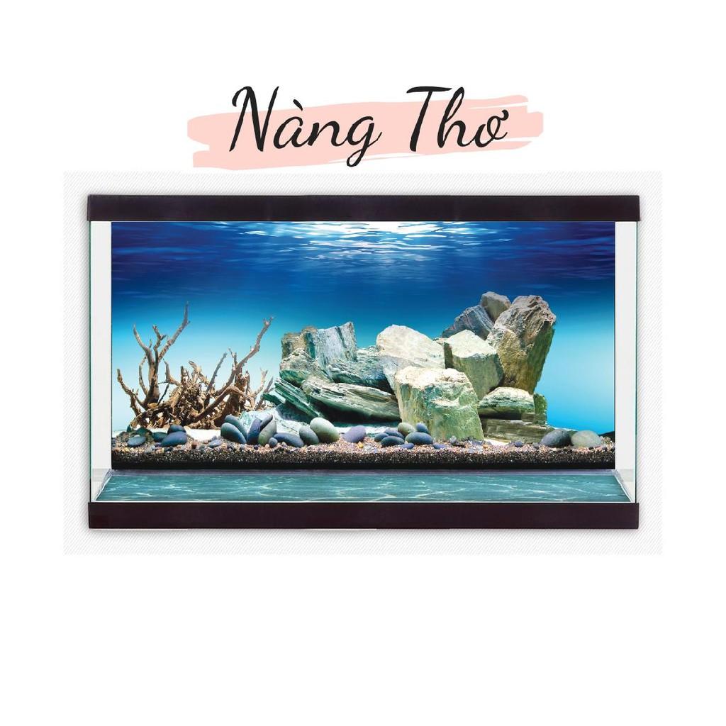 DECAL 3D DÁN HỒ CÁ_TRANH 3D HỒ CÁ_DECAL VIP