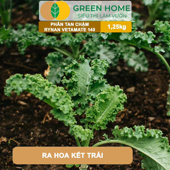 Phân Tan Chậm GreenHome Rynan Vetamate 140 NPK 27-08-08+TE (1% Humic), Hũ 1,25 kg, Chuyên Rau Ăn Lá