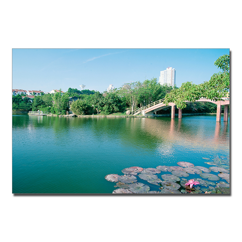 Tranh Dán Tường Nghệ Thuật Trang Trí BG-3099