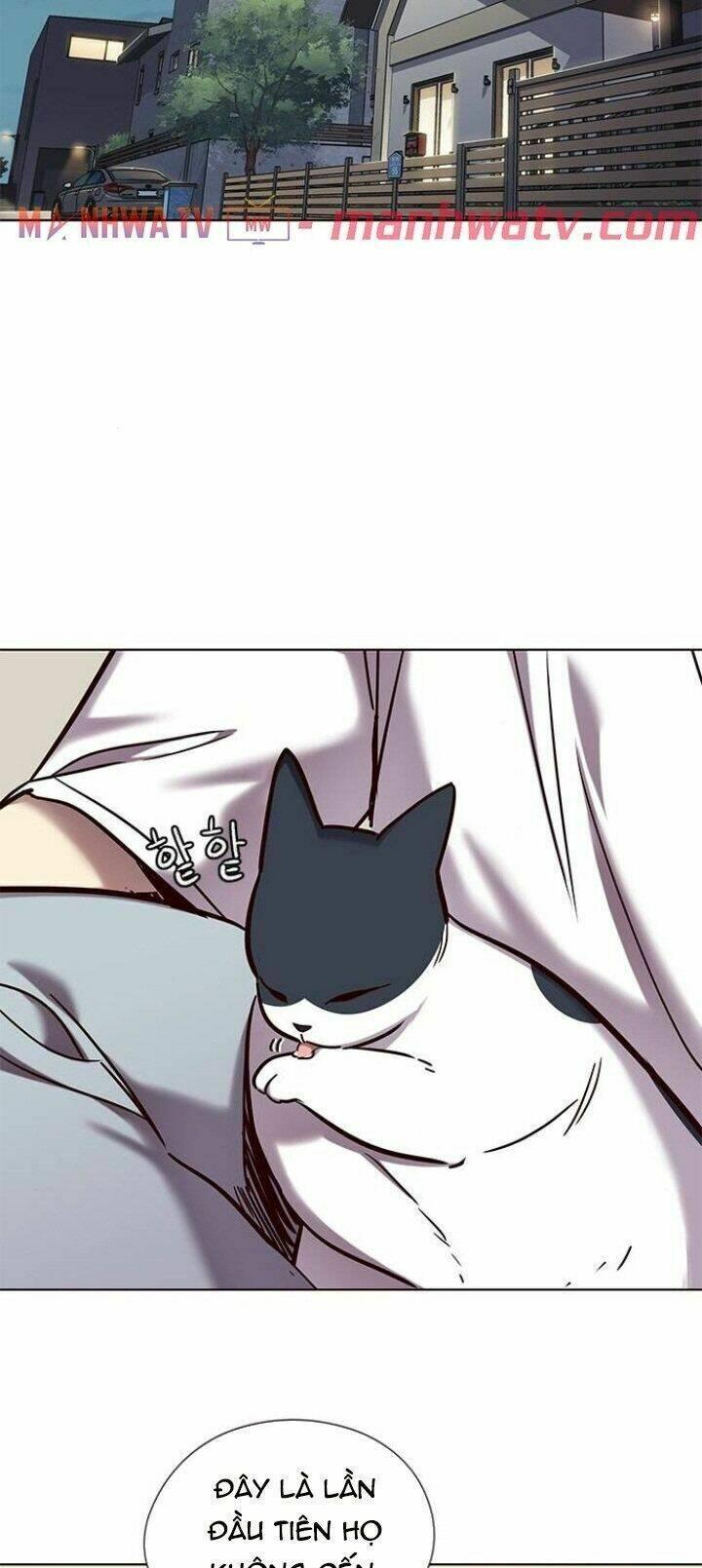 biến thân thành mèo chapter 104 70