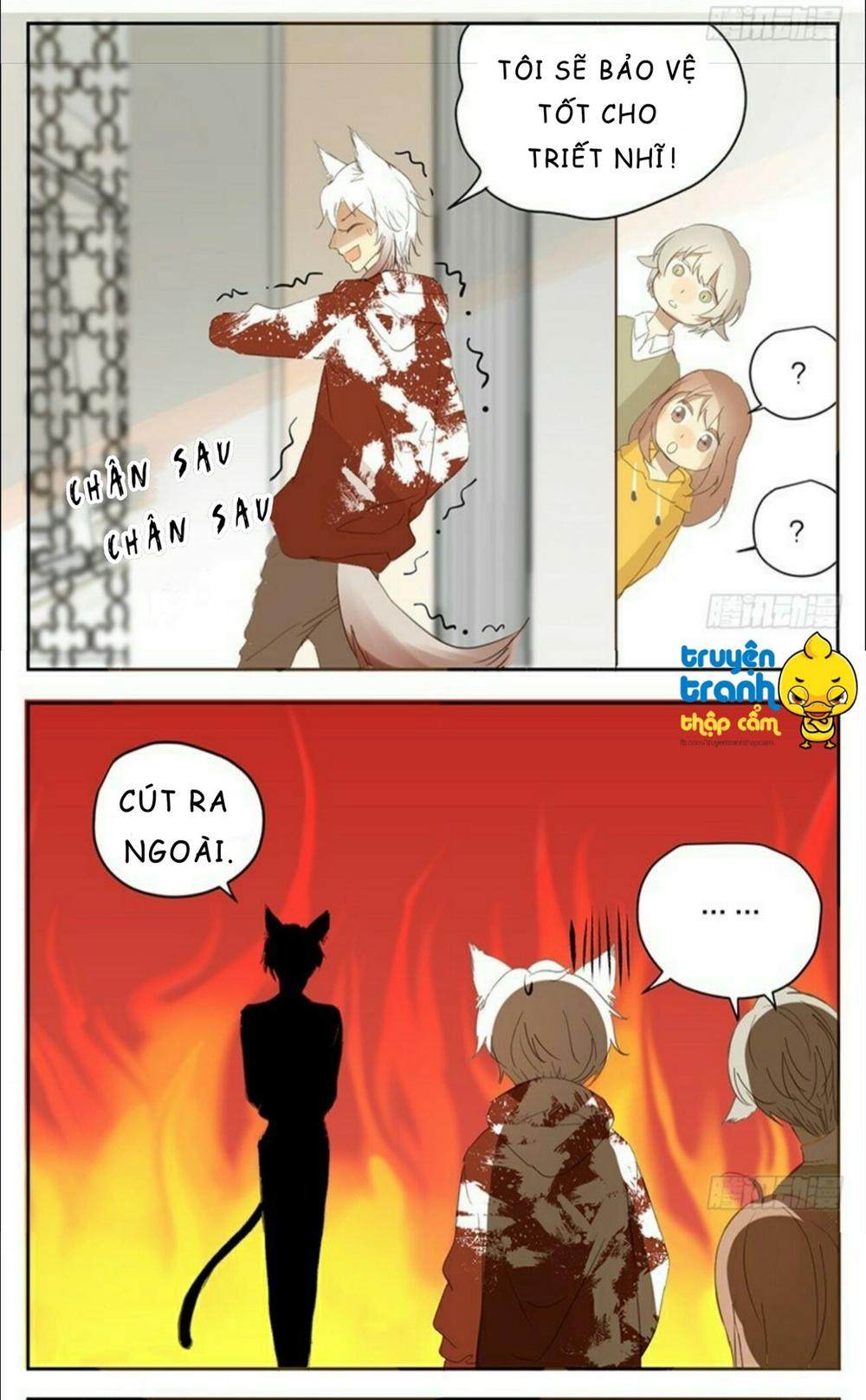 cứu mạng ! loài mèo thống trị thế giới rồi ! chapter 32 15