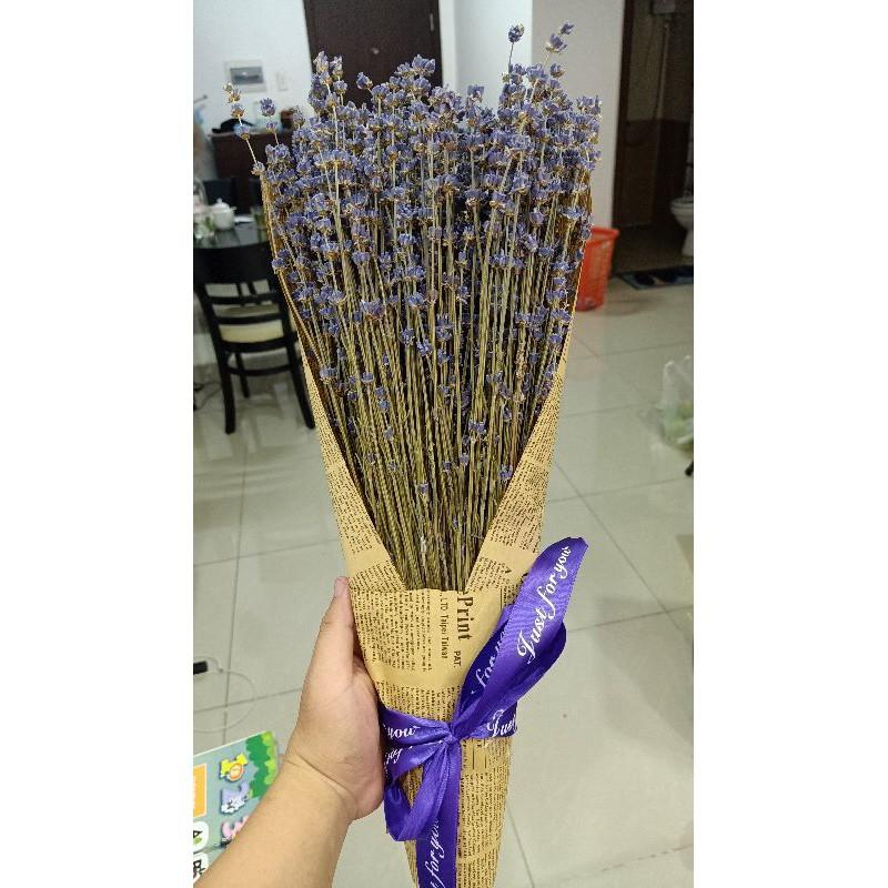 Bó hoa oải hương lavender khô bó giấy báo FREE SHIP Tặng túi thơm