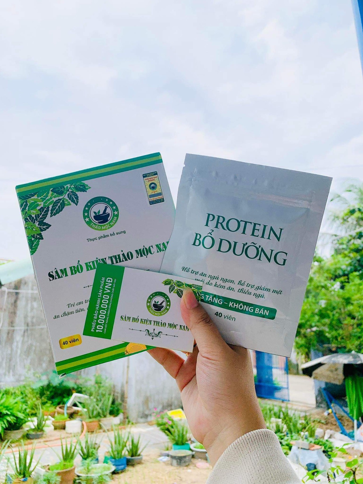 Combo 3 hộp Lên cân Sâm bổ kiện Thảo mộc nam Organic