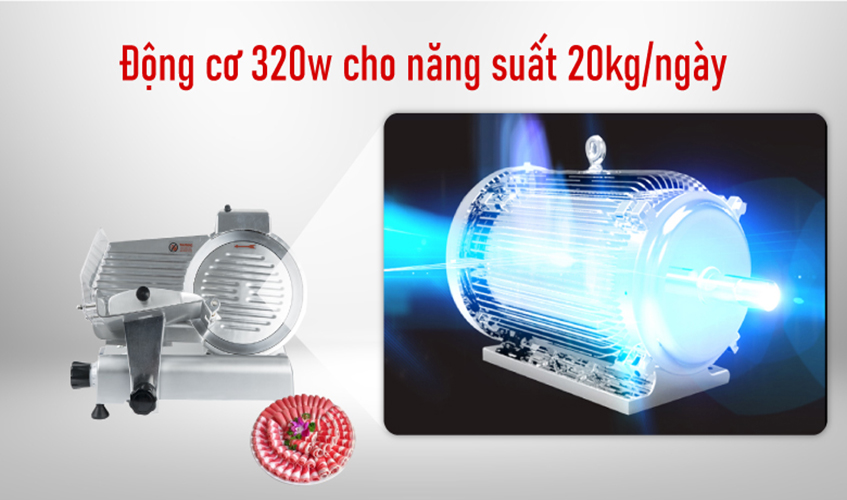 Máy Thái Thịt Chín NEWSUN ES-250 - Hàng Chính Hãng