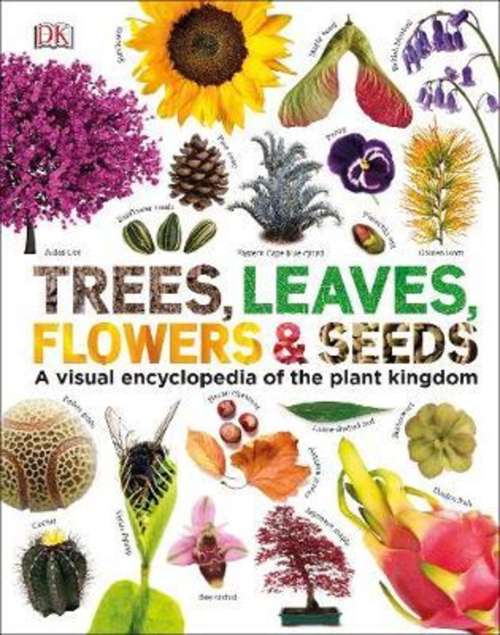 Sách - Trees, Leaves, Flowers & Seeds : A visual encyclopedia of the plant kingdom by DK