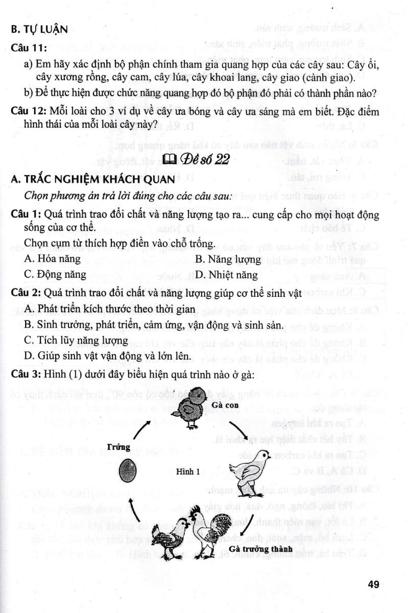 Đề Kiểm Tra Khoa Học Tự Nhiên 7 (Dùng Kèm SGK Kết Nối Tri Thức Với Cuộc Sống (HA)