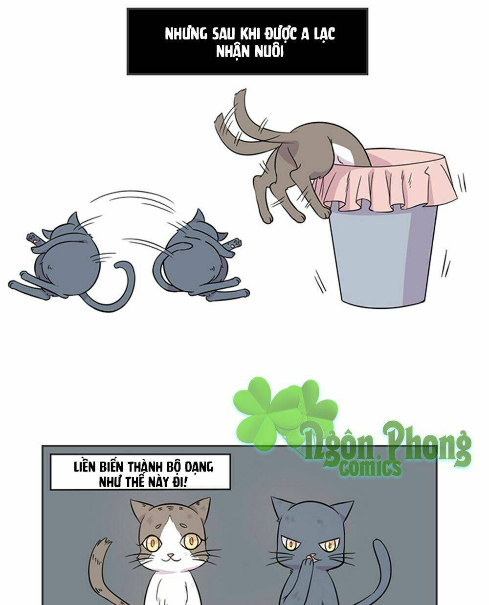hai chú mèo totem chapter 17 4
