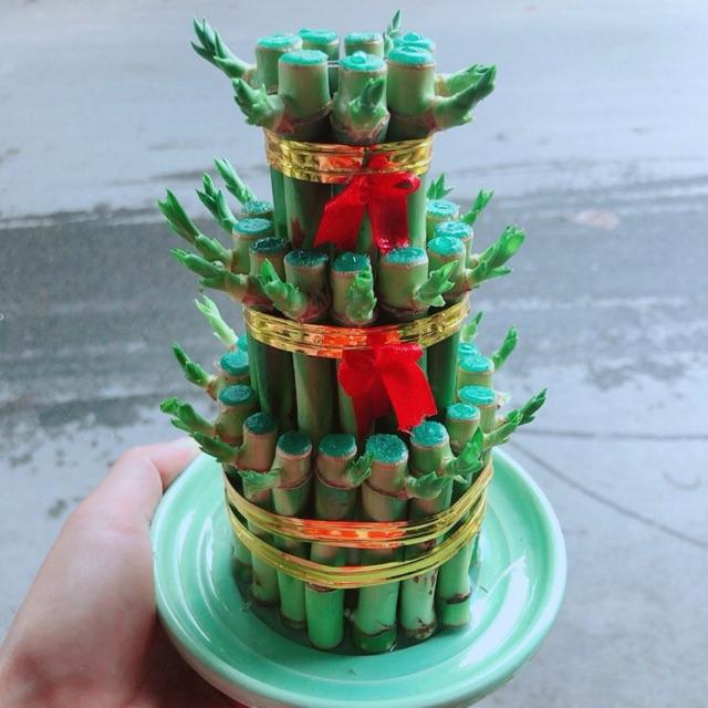 Trúc Phát Tài 3 Tầng