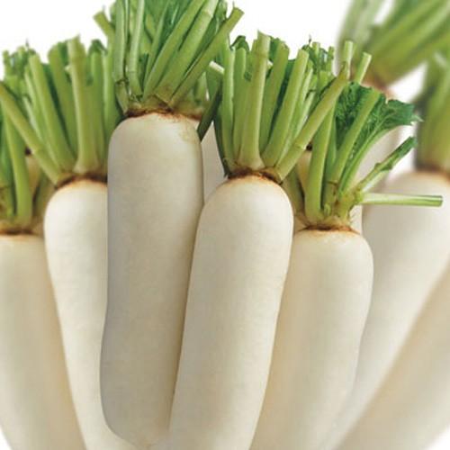 Hạt giống củ cải trắng HN 20gr