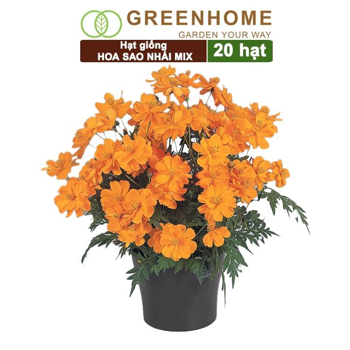 Hạt Giống Hoa Sao Nhái Mix Greenhome, Gói 0,3gr, Sai Hoa, Màu Rực Rỡ, Dễ Trồng Quanh Năm, Nảy Mầm Cao H02