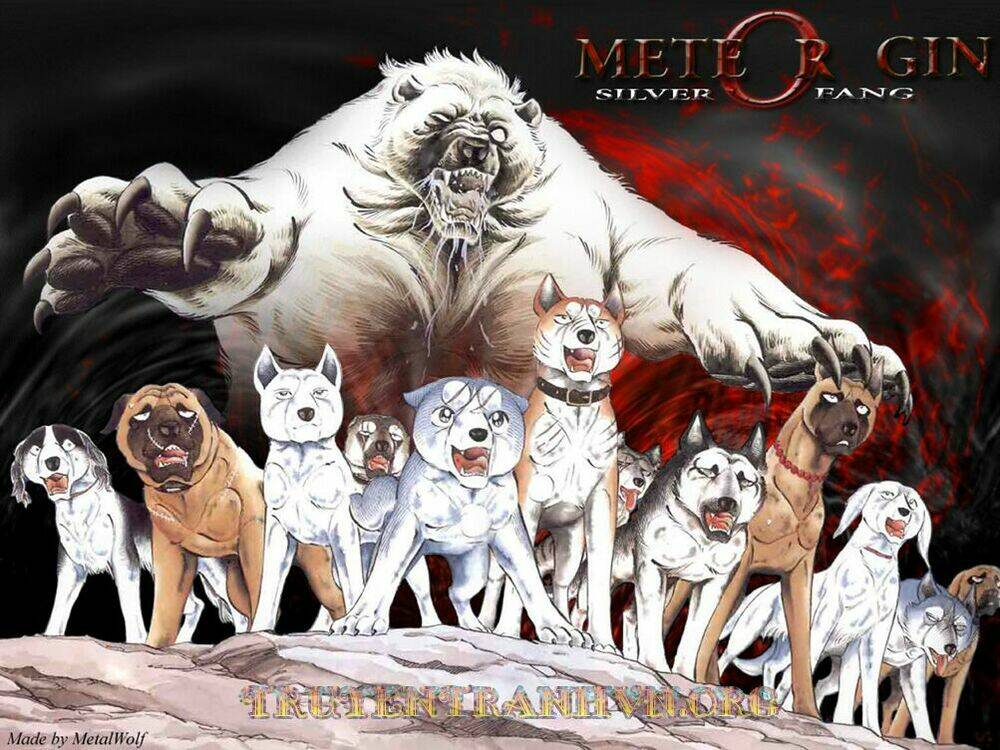 chú chó có nghĩa - ginga nagareboshi gin chapter 9 21