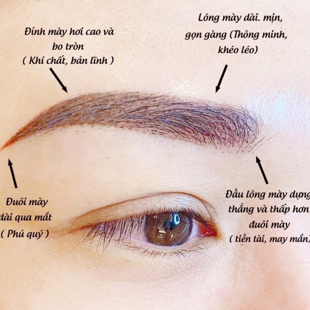 Bút Chì Kẻ Lông MàyCOSMETIC ART Chuyên Dụng Chì Xé Chống Thấm Nước,Mồ Hôi,Bền Màu Chính Hãng